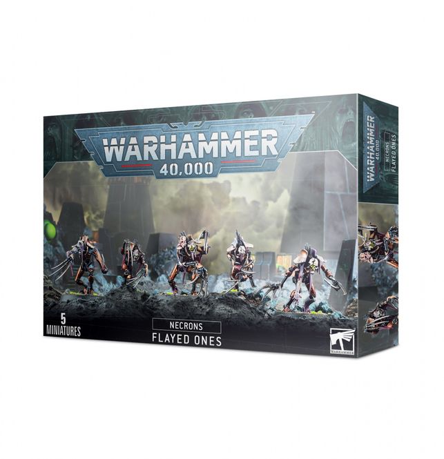 Hovedbilde Necrons: Flayed Ones