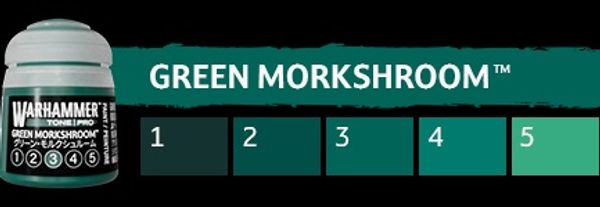 Hovedbilde Warhammer Tone Pro Green Morkshroom # 1